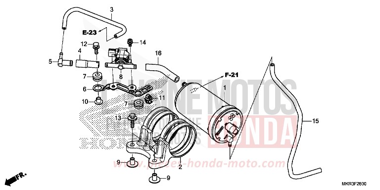 CUVETTE von CBR1000RR SP SP1 SP2 PEARL GLARE WHITE (NHB53) von 2022